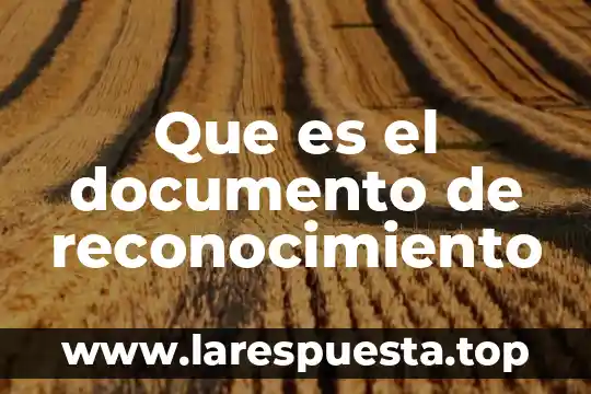 Qué es una composición de arte 4 Que es el documento de reconocimiento