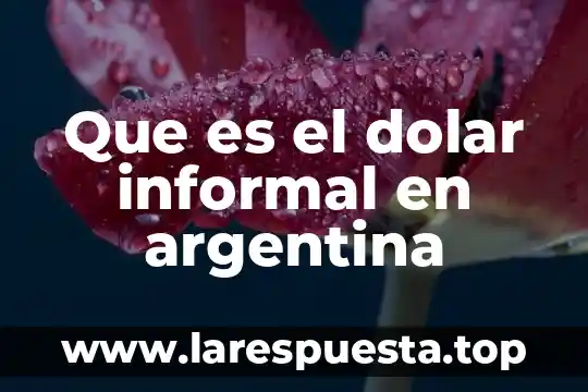 Que es el dolar informal en argentina