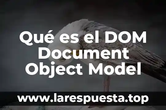 Que es model convvar de barberia 3 Qué es el DOM Document Object Model