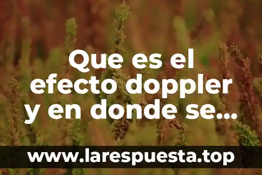 Que es la monarquia y en que paises se aplica 4 Que es el efecto doppler y en donde se aplica