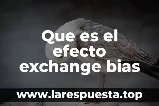 Qué es un efecto paradojal 7 Que es el efecto exchange bias