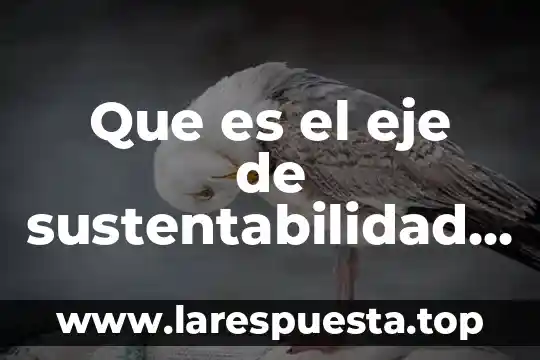 Que es o en que consiste el modelo economico neovidelario 4 Que es el eje de sustentabilidad economico