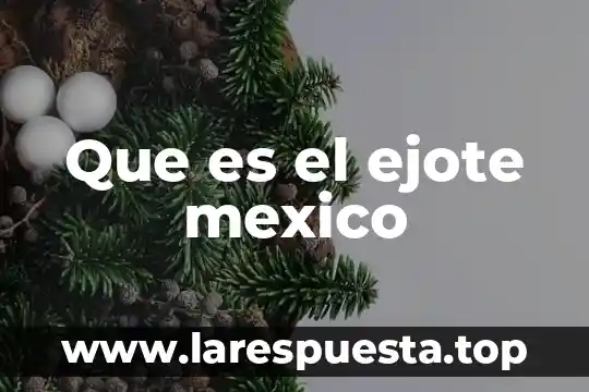 Que es el ejote mexico