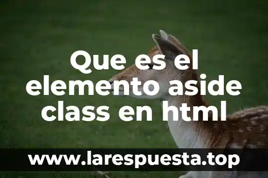 ¿Qué es HTML en informática y para qué sirve? 3 Que es el elemento aside class en html