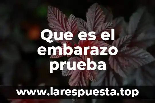 Que es el embarazo prueba