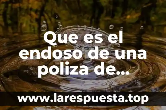 Que es el endoso de una poliza de seguro qualitas
