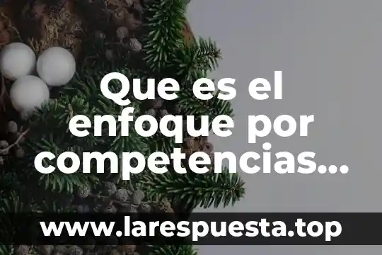 Que es el enfoque por competencias en nivel medio superior