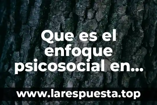 Que es el enfoque psicosocial en trabajo social