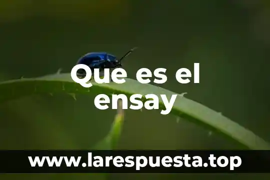 Que es el ensay