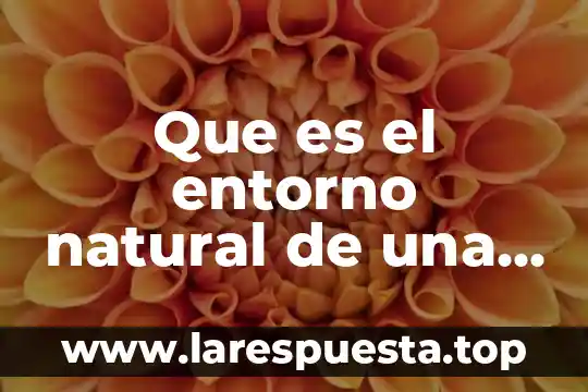 Que es el entorno natural de una empresa