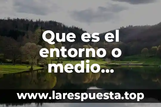 Que es la etica en mi entorno 4 Que es el entorno o medio ambiente