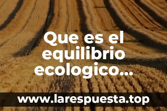 Lan ambiental que es 8 Que es el equilibrio ecologico ambiental
