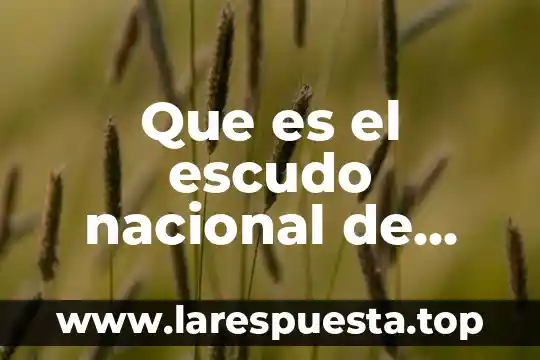 Que es el escudo nacional de peru