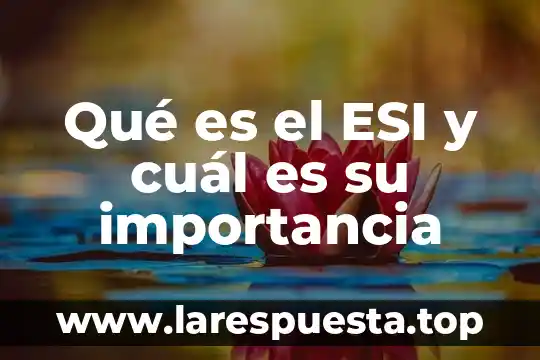 Que es la sustancia gris y cual es su funcion 7 Qué es el ESI y cuál es su importancia