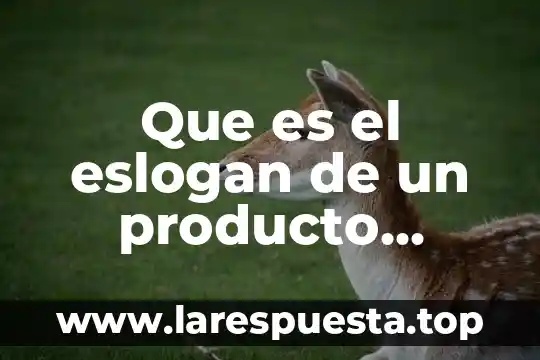 Qué es el estilo de una flor Yahoo 6 Que es el eslogan de un producto yahoo