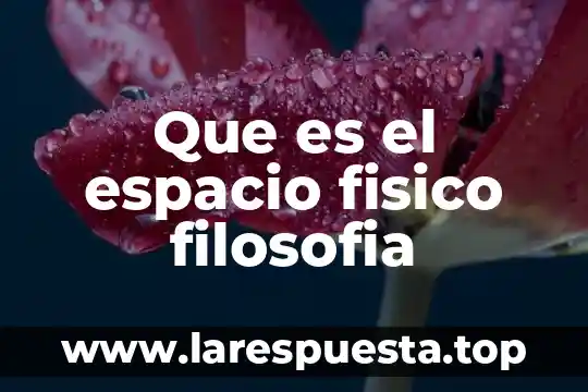 Qué es filosofía de la educación 6 Que es el espacio fisico filosofia