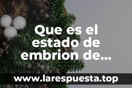 Que es el estado de embrion de una planta