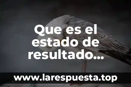 Que es estado mecanico de un pozo petrolero 3 Que es el estado de resultado integral en contabilidad