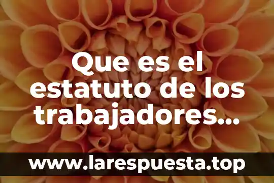 Que es el estatuto de los trabajadores definicion