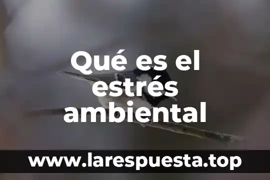 Lan ambiental que es 4 Qué es el estrés ambiental