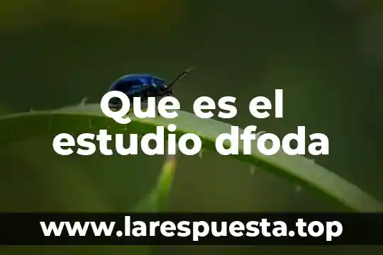 Que es el estudio para noam chomsky 5 Que es el estudio dfoda