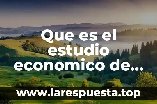 Que es el estudio economico de un proyecto ejemplo