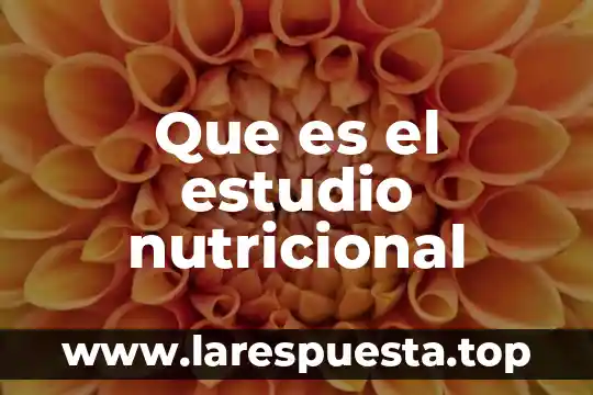 Que es la composicion nutricional de los alimentos 6 Que es el estudio nutricional