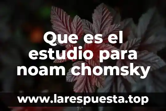Que es el objeto de estudio de la pedagogia 6 Que es el estudio para noam chomsky