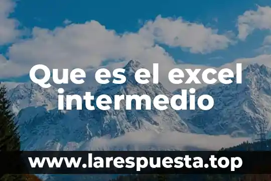 Que es el excel intermedio