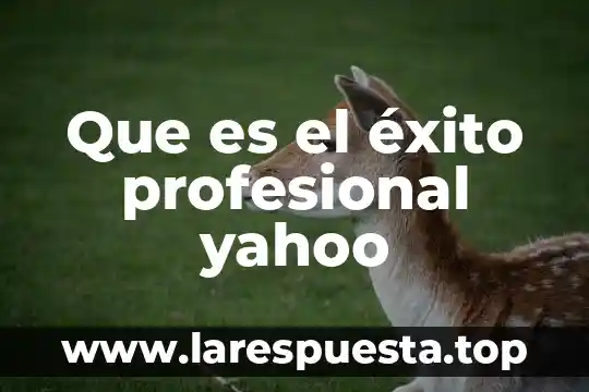 Que es el éxito profesional yahoo