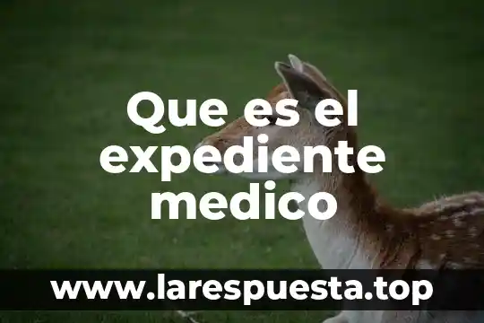 Qué es un dermatólogo médico 3 Que es el expediente medico