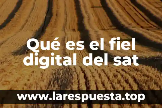 Qué es el fiel digital del sat