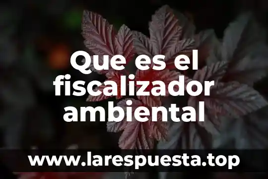 Lan ambiental que es 7 Que es el fiscalizador ambiental