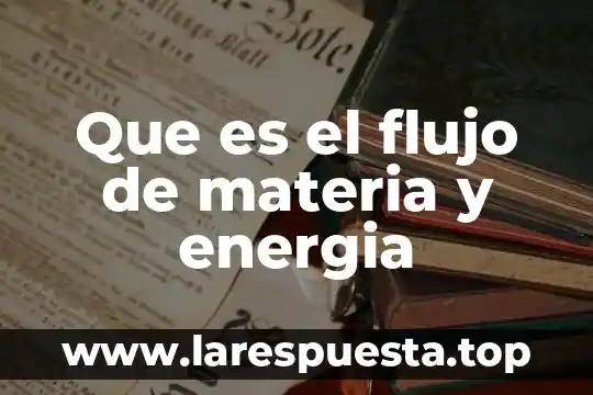 Que es raptor diagramas de flujo como funciona 8 Que es el flujo de materia y energia