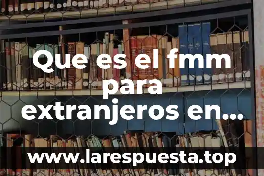 Que es un proyecto de inversion en mexico 6 Que es el fmm para extranjeros en mexico