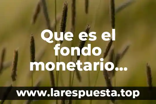 Resumen de que es la ecología de Fernando Vites 4 Que es el fondo monetario internacional resumen