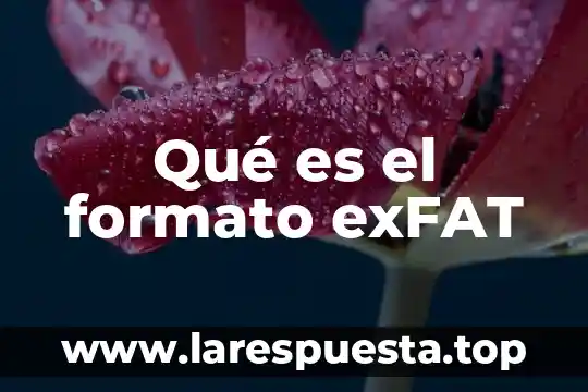 Que es formato rústico 3 Qué es el formato exFAT
