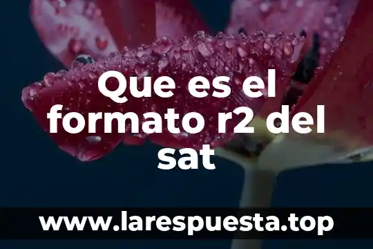 Que es el formato r2 del sat