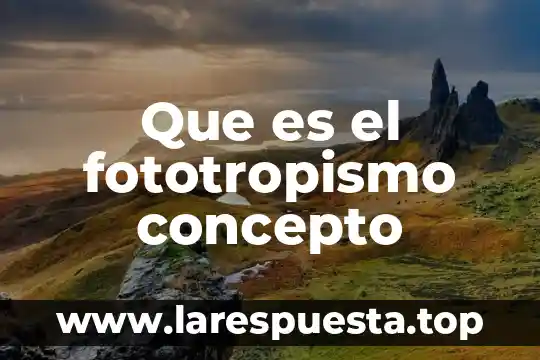 Que es el fototropismo concepto