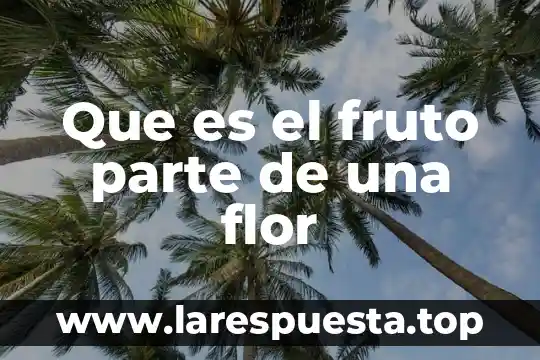 Que es el fruto parte de una flor