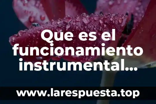 Que es familia neorromanista 6 Que es el funcionamiento instrumental en una valoracion de familia