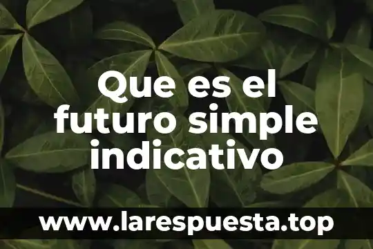 Que es modo indicativo y imperativo 8 Que es el futuro simple indicativo