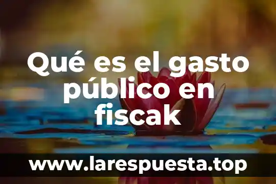 Que es costo que es gasto 5 Qué es el gasto público en fiscak
