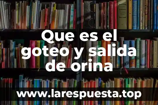 Que es cuando la orina sale concentrada 6 Que es el goteo y salida de orina