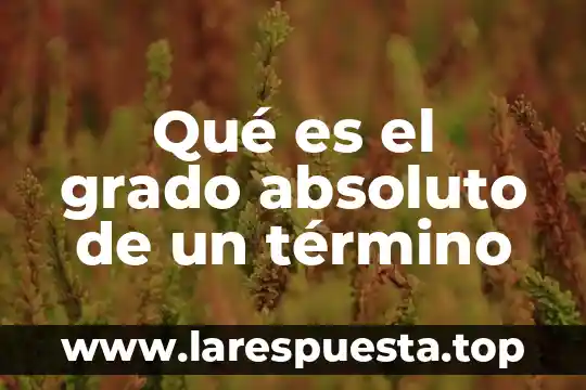 Qué es el grado absoluto de un término