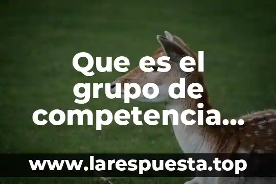 Que es el grupo de competencia limitada