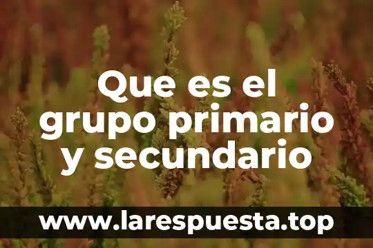 Que es controlador de dominio secundario 3 Que es el grupo primario y secundario