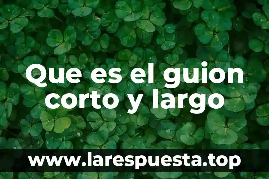Que es mas corto que una licenciatura 6 Que es el guion corto y largo