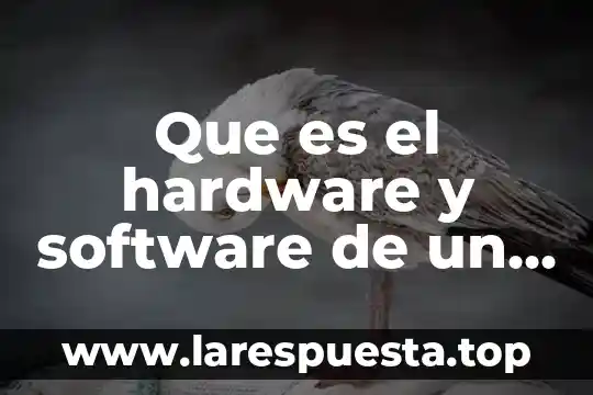 Que es el hardware y software de un computador