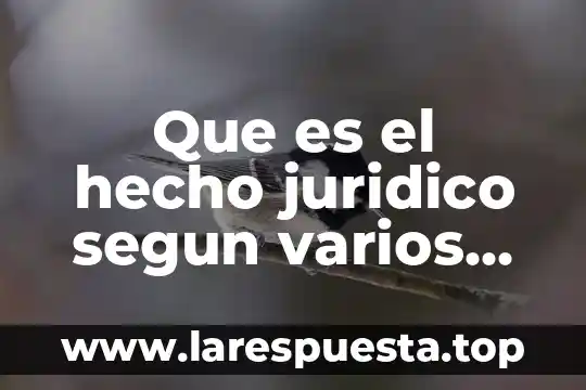 Que es el hecho juridico segun varios autores